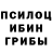 Псилоцибиновые грибы Psilocybe DAVIS  Saukants