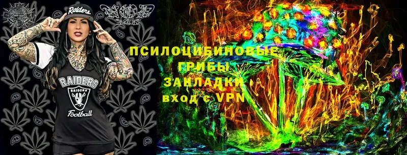 Псилоцибиновые грибы MAGIC MUSHROOMS  сколько стоит  Нелидово 